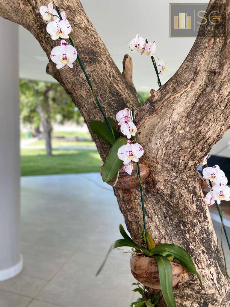 Terreno, 300 m² - Foto 4