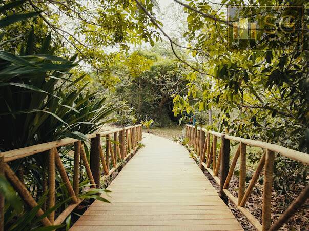 Terreno, 200 m² - Foto 7