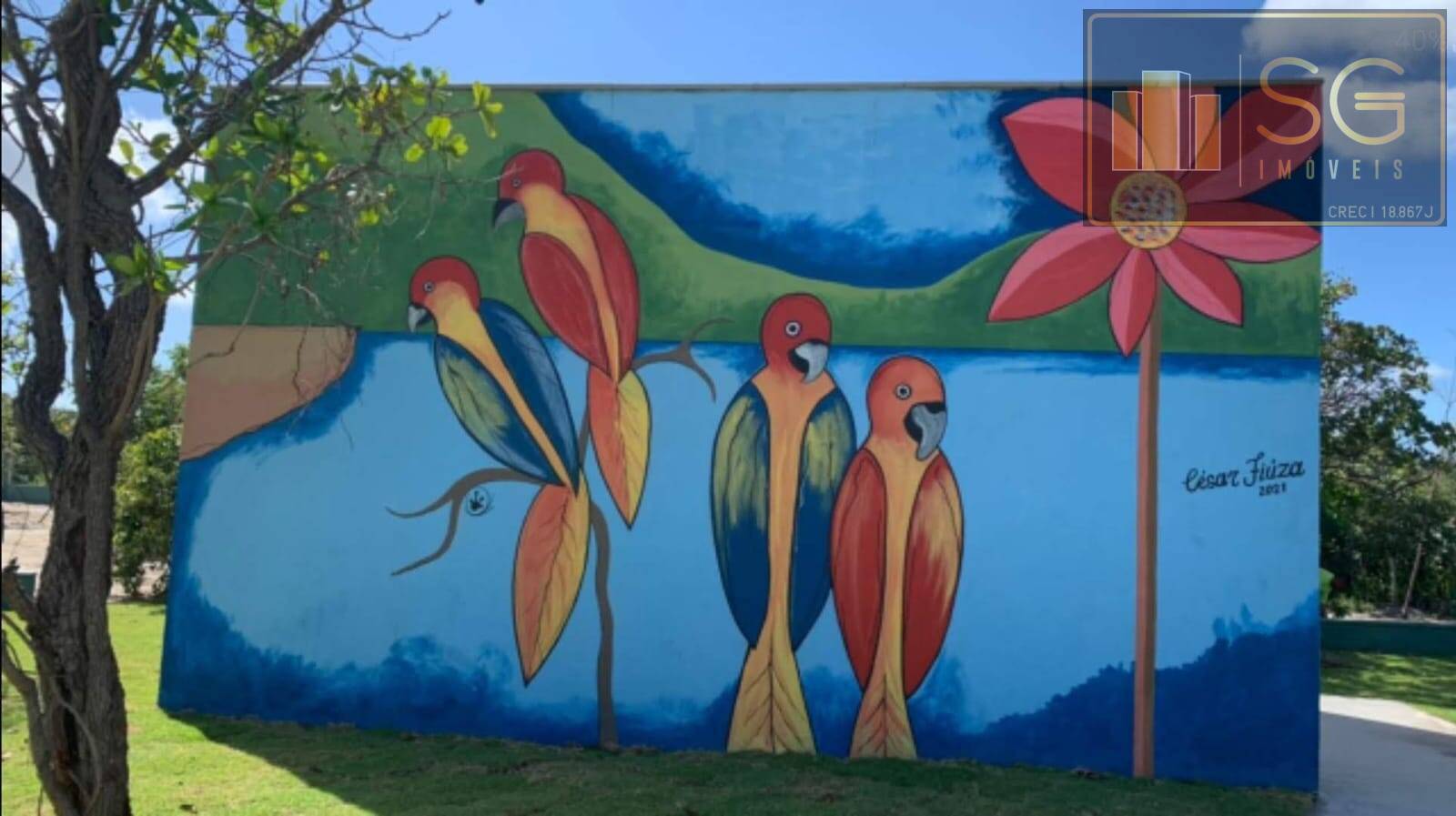 Terreno, 225 m² - Foto 6